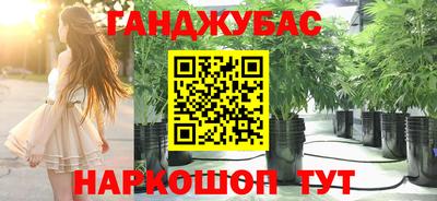 PSILOCYBIN Малоярославец