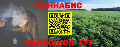 крисы Малгобек