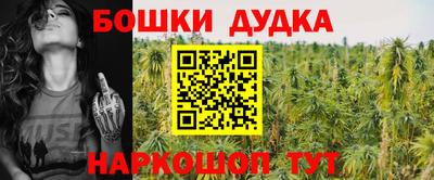 крисы Малгобек
