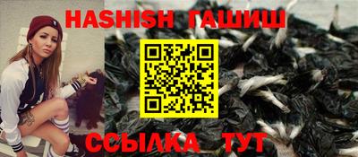 крисы Малгобек