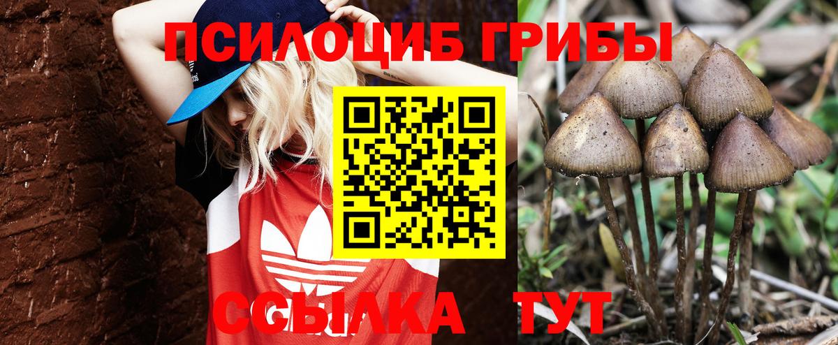 Псилоцибиновые грибы ЛСД Гулькевичи